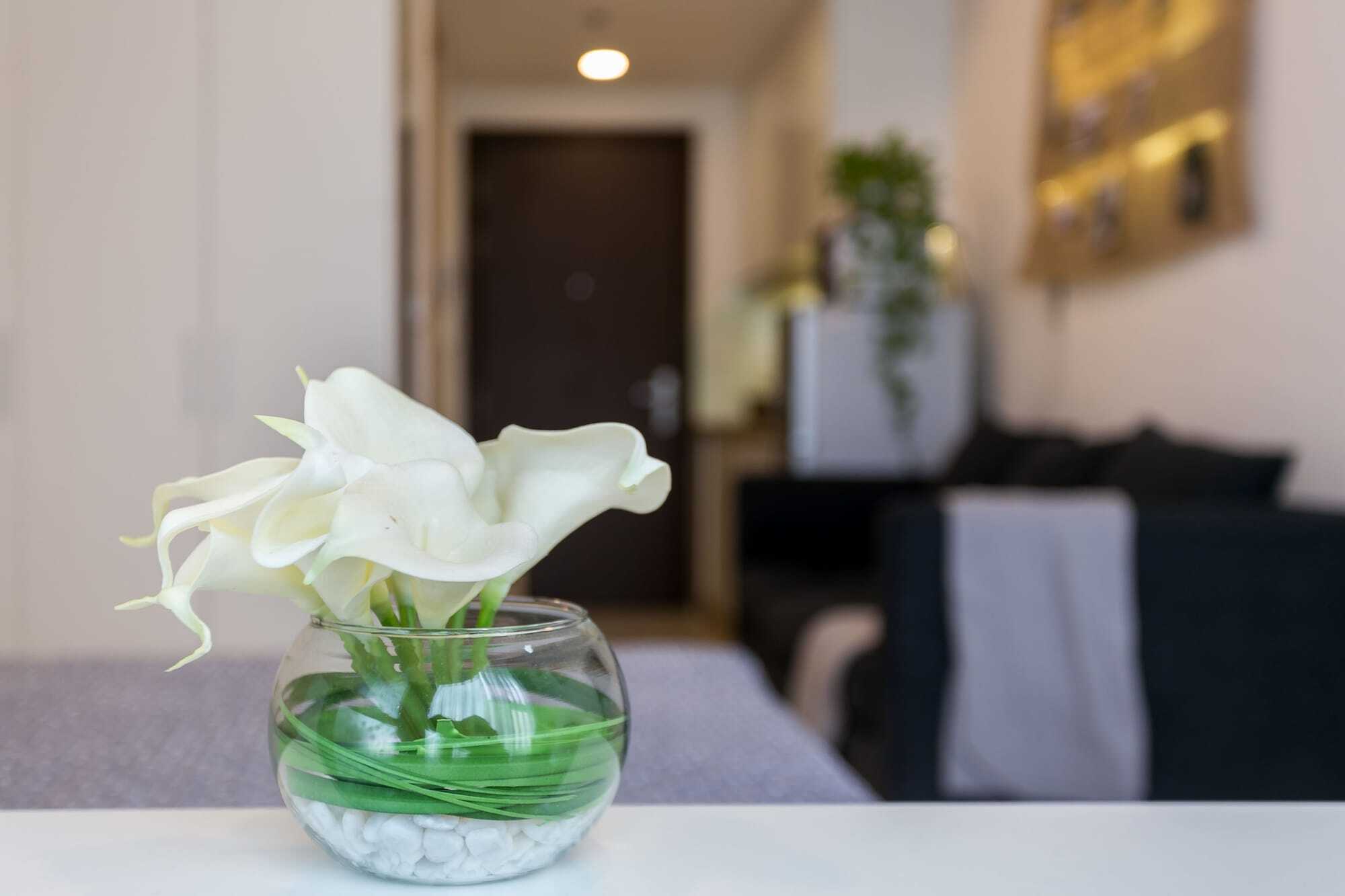 Macy Studio Apartment Ho Chi Minh-byen Eksteriør bilde