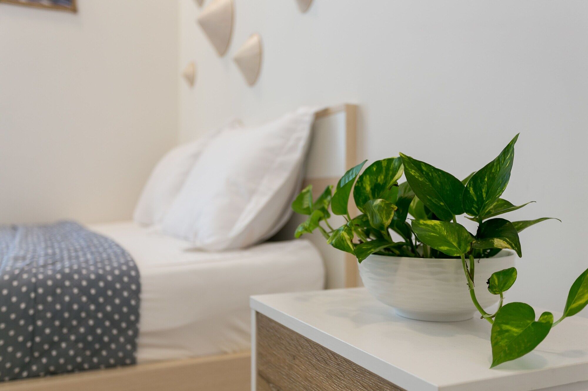 Macy Studio Apartment Ho Chi Minh-byen Eksteriør bilde